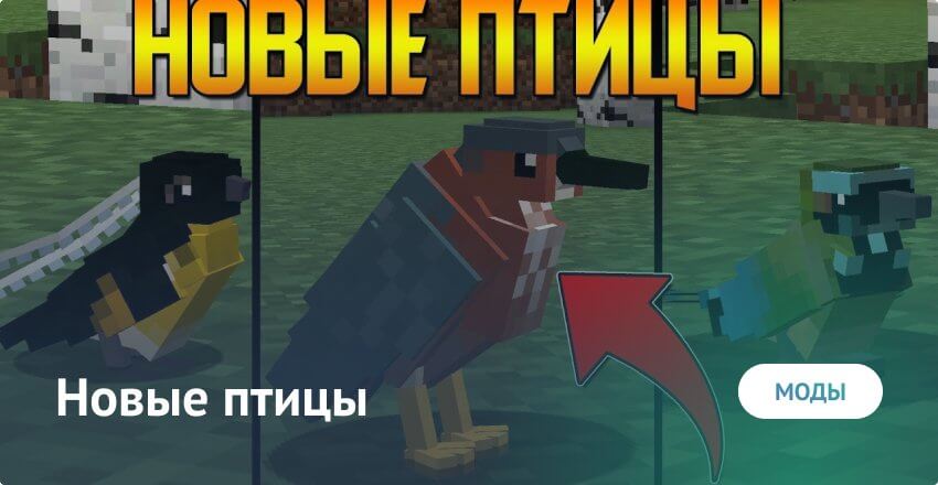पक्षी मॉड Minecraft PE (Bedrock)