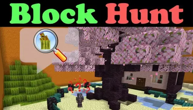 मानचित्र: ब्लॉक हंटर Minecraft PE (Bedrock)