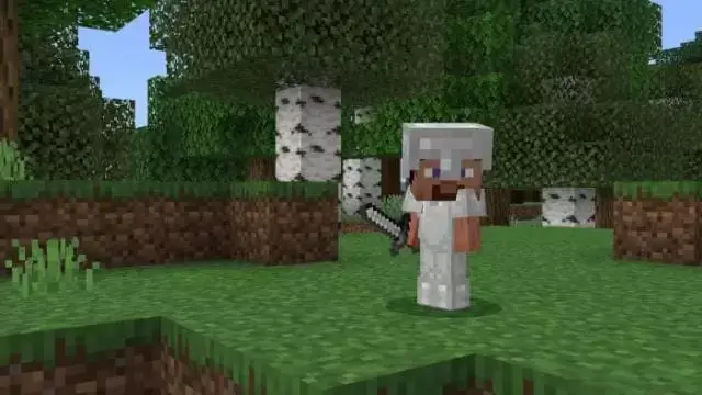 बनावट: बाल खिलाड़ी Minecraft PE (Bedrock)